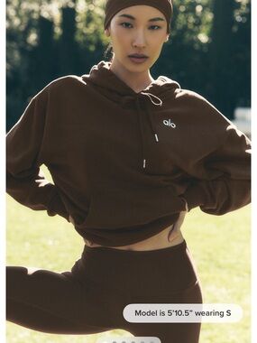 ALO Yoga Brown Cropped Hoodie (unisex so runs big)